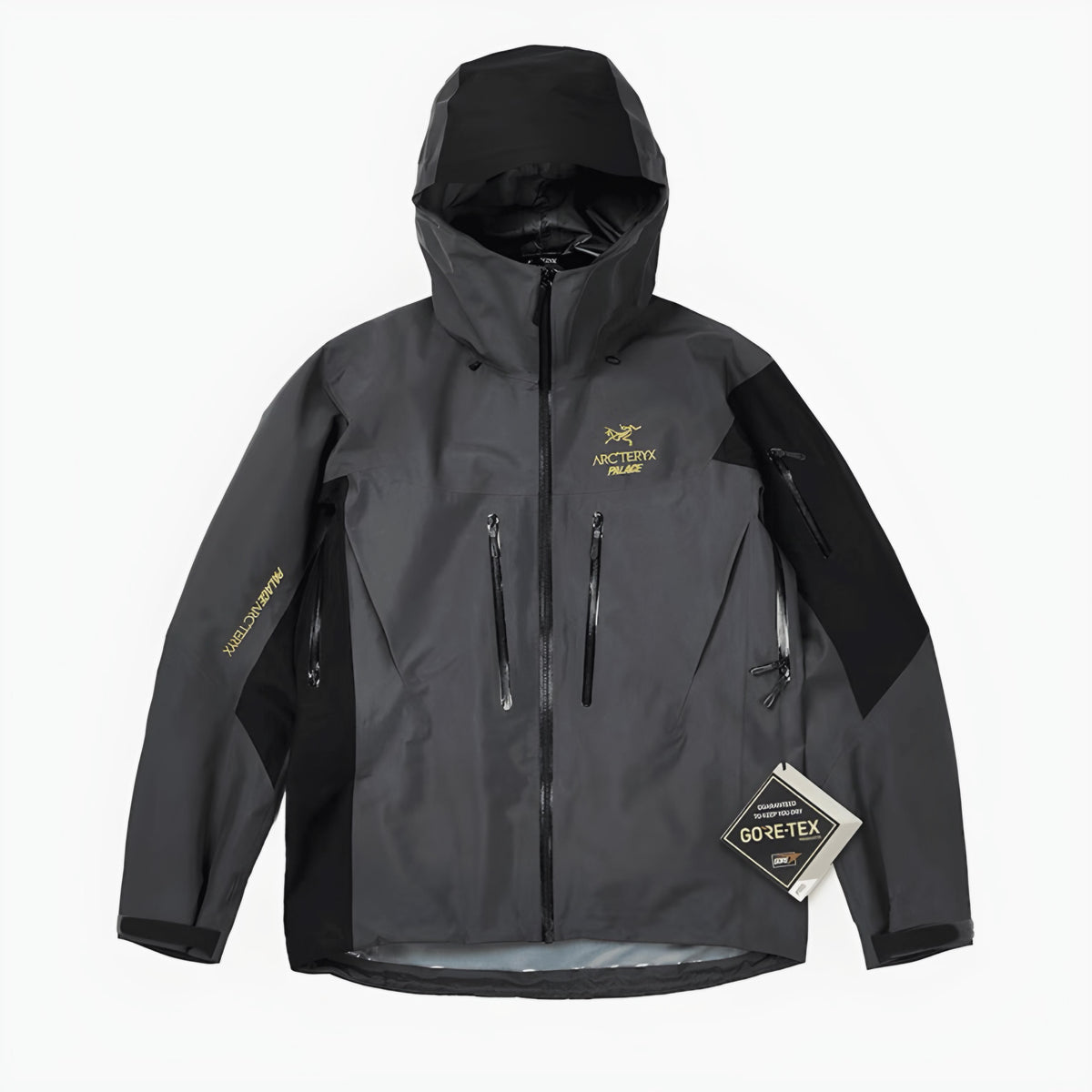 Arcteryx (Palace) - Veste